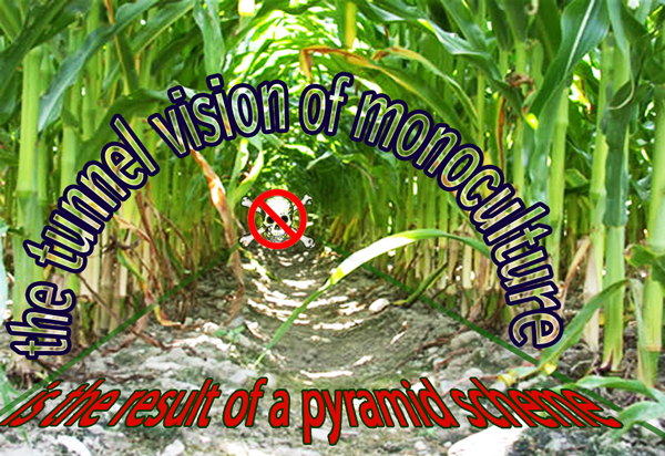 The Danger of a Monoculture