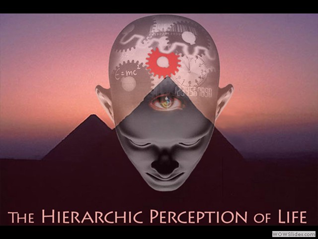 Hierarchic Perception of Life