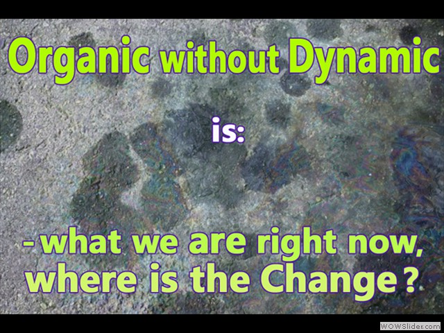 Organic without Dynamic 