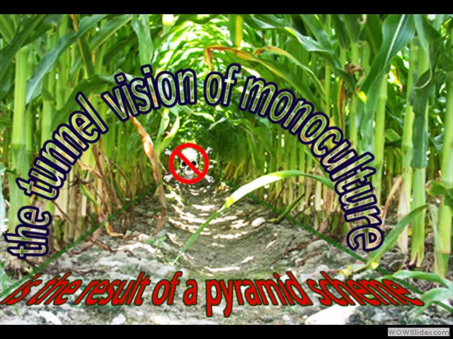 The Danger of a Monoculture