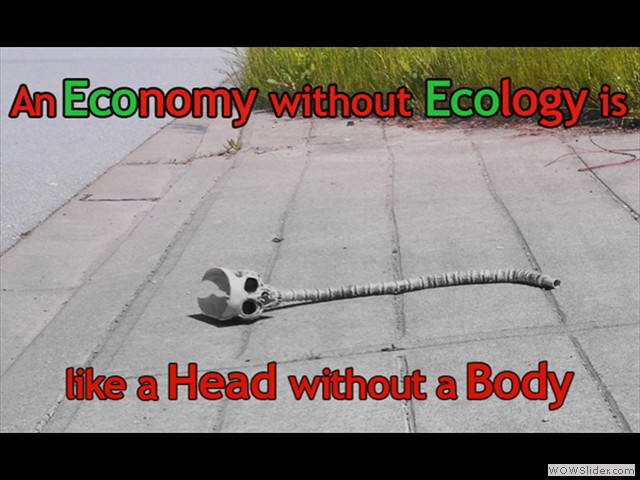 without Ecology